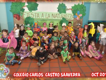 Fiesta Ecológica